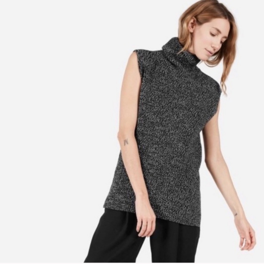 Everlane sleeveless chunky knit turtleneck sweater